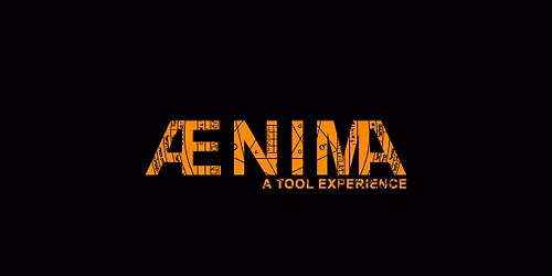 \u00c6NIMA, a TOOL experience (Tribute Band)