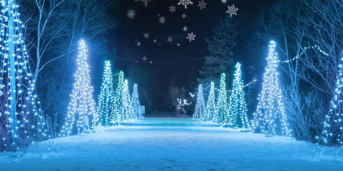 Holidays with KCA