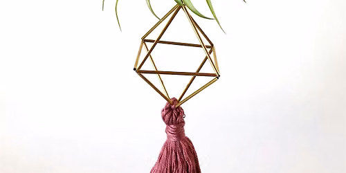 Stacy Wong's Air Plant Double Himmeli Workshop at Rainforest Flora!