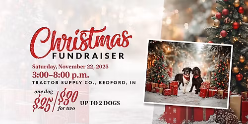 Christmas Photo Fundraiser