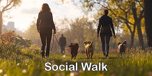 Social Walk September