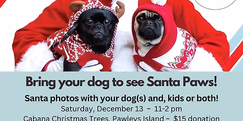 \ud83c\udf85\ud83d\udc3e Santa Paws Photo Fundraiser \ud83d\udcf8\ud83c\udf84