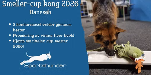 Smeller-cup kong 2026, 1\/3 banes\u00f8k