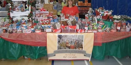 Carl Sandburg Winter Craft Show