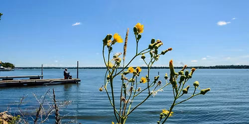 Social Security: Understanding Your Retirement Benefit Options