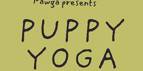 Pawga's Yoga with Puppies at Blissful Monkey Studio - Ballygunge