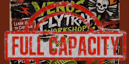 Venus Flytrap Workshop