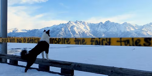 Formals & Fur - November