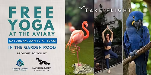 Free Yoga at the National Aviary