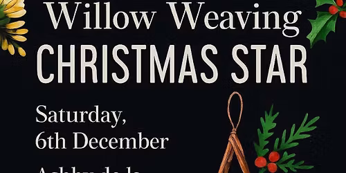 Christmas Stars at Ashby