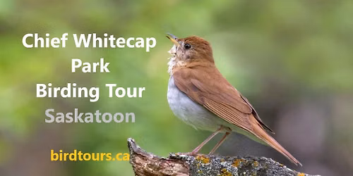 Chief Whitecap Park Birding and Hiking Tour