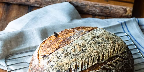 Sourdough & Snacks: A Fundraiser