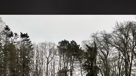 Showing event at Hoebridge 