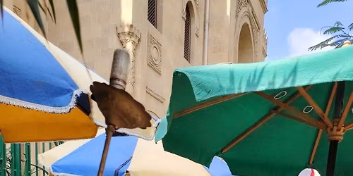 \u0641\u064a \u0631\u062d\u0627\u0628 \u0623\u0645 \u0627\u0644\u062d\u0646\u0627\u0646 