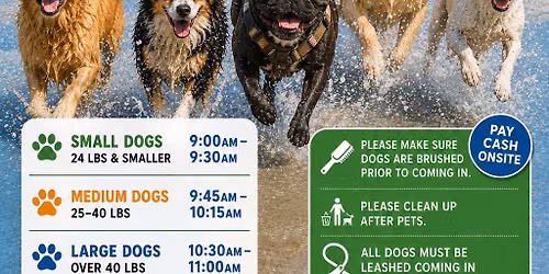 Doggie Splash Pad Day