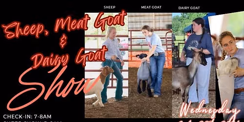 Sheep, Meat Goat & Dairy Goat Show --> 7.22.2026