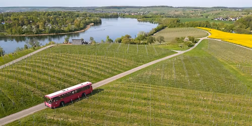 Weinberghopping im Oldtimerbus