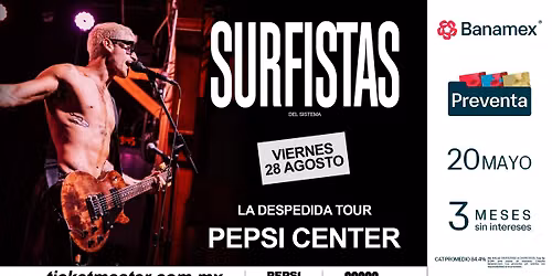 Surfistas del sistema
