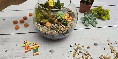 Create Your Own Terrarium!