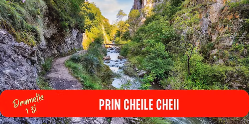 DRUMETIE 1 ZI PRIN CHEILE CHEII