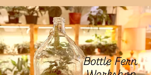 Bottle Fern Workshop