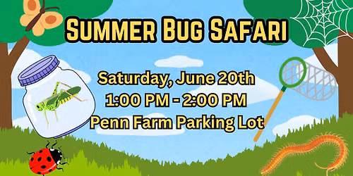 Summer Bug Safari