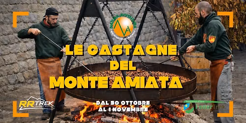 LE CASTAGNE DEL MONTE AMIATA