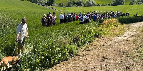 16\u00b0 MAGNALONGA Mogliano (MC)