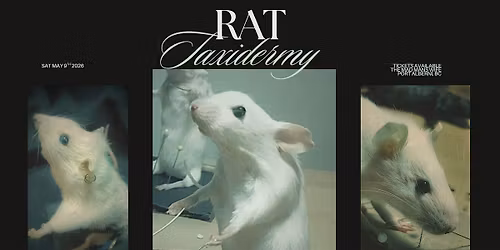 Rat Taxidermy Workshop - Port Alberni