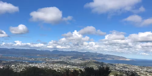In person Family Constellation Workshop in Wellington