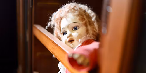 Halloween at The Museum of Curiosities