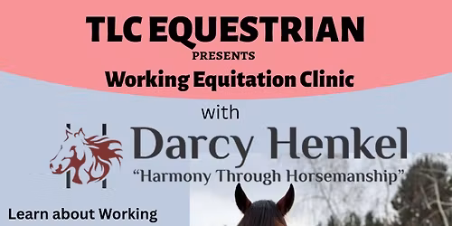 Working Equitation Clinic