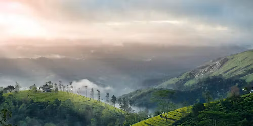 God's Own Table - A Kerala Tasting Experience