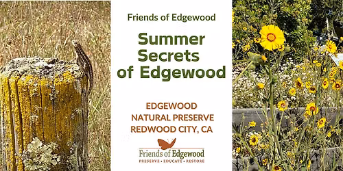Special "Summer Secrets" Hike at Edgewood Natural Preserve