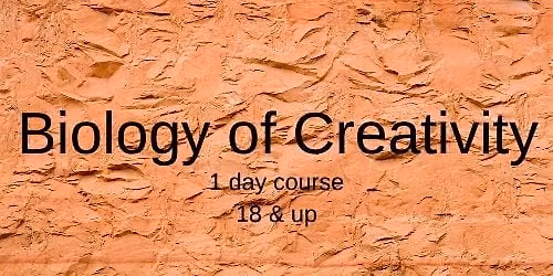 Biology of Creativity