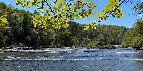 Best Ways to Remove Invasive Species Eco-Steward Class, with EcoAddendum