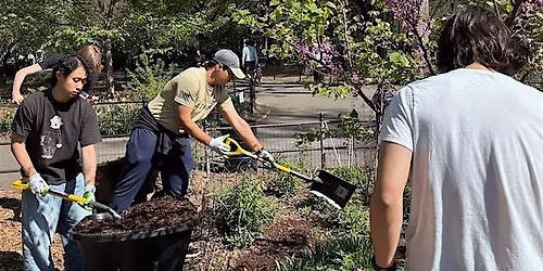 End of May Cleanup and Planting in Tompkins Square Park