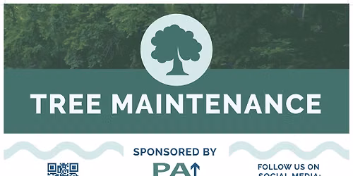 PHG & CRTT Tree Maintenance & Invasive Removal: Shady Nook Court