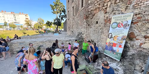 V\u00e1rpalota - \u00c1llatsimogat\u00f3 a Palotai Mustra II. napj\u00e1n