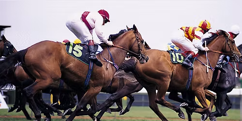 Race Night!