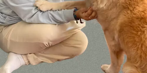 Breathe &Release with Your Dog