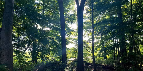 Jour de la Terre au parc national de la Pointe-Pel\u00e9e \u2013 C\u00e9l\u00e9bration le 25 avril!
