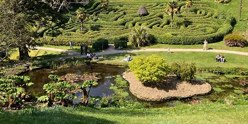 Leisurely walk at Glendurgan Garden
