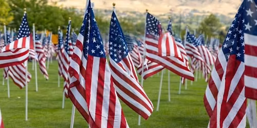 Military Tribute Field