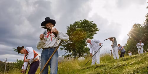 SE\u010cEN\u00cd LUK NA SOL\u00c1NI 