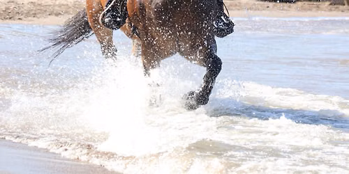 Cleveland Metroparks Mounted Police Unit Ride the (Edgewater)Beach Fundraiser