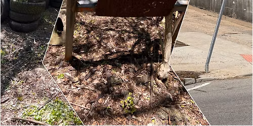 SiOS Mini-Cleanup: South Fairmount Tire Round-Up!