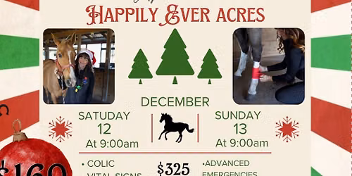 Equine First Aid Class
