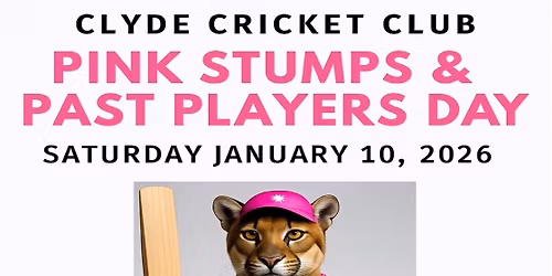 Pink Stumps and Past Players Day