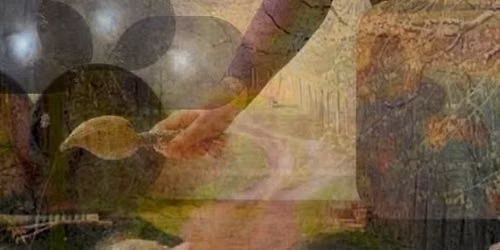 Dreaming the Healer - 3yr Shamanic Practitioner Training
